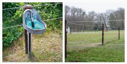  4. Aangepast zadel HAB-COLLAGE.jpg 