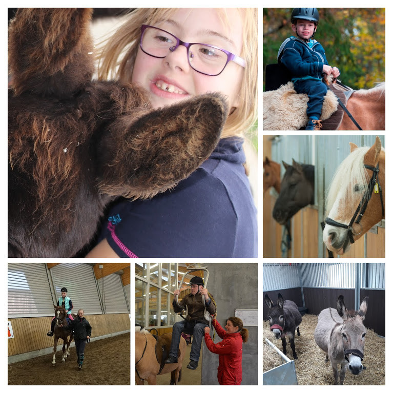 foto 4 - stallen-COLLAGE.jpg