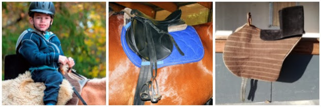  7. aangepast zadel  HAB-COLLAGE.jpg 